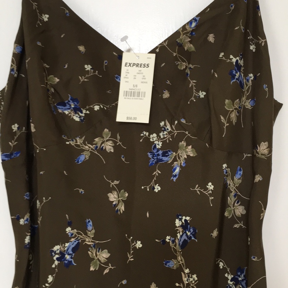 New Express Silk Dress